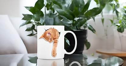 Products from Winston & Bear in use