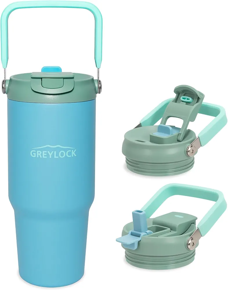 Greylock 30 oz Tumbler with Handle, Vacuum Insulated Tumblers with Flip Straw and Top Handle, Reusable Tumbler with Lid and Straw for Home, Office or Car, Leak-Proof Travel Mug, Keep Cold for 24 Hrs
