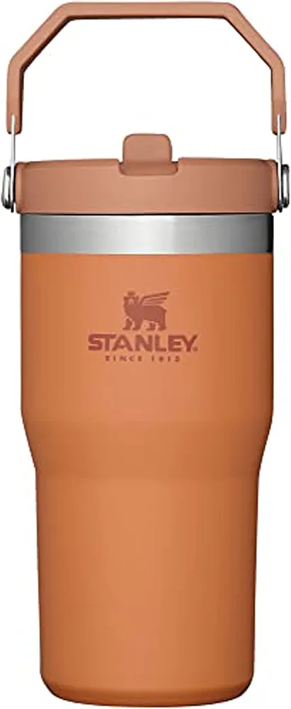 Stanley IceFlow Stainless Steel Tumbler with Straw - Vacuum Insulated Water Bottle for Home, Office or Car Reusable Cup Leak Resistant Flip Cold 12 Hours Iced 2 Days (Ochre)