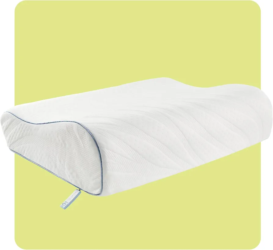 SEALY Dreamlife Contour Memory Foam Pillow, Standard